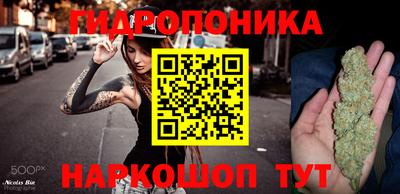 мдма Камышлов