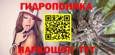PSILOCYBIN Кандалакша