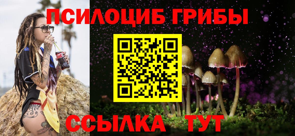 Галлюциногенные грибы Cubensis  Галлюциногенные грибы Psilocybe  Вход с VPN  Куйбышев 